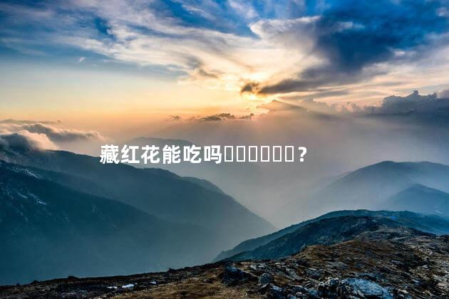 藏红花能吃吗？